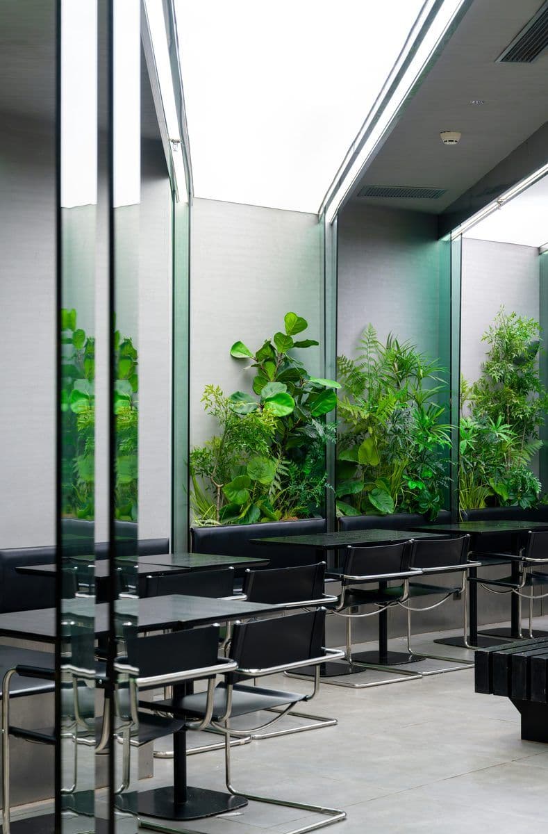 Frameless glass partitions in a modern office